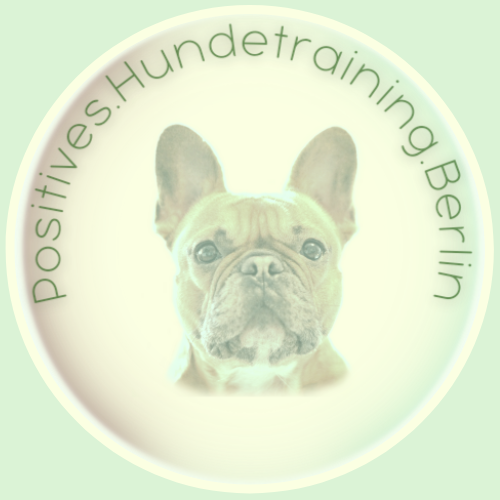 Positives Hundetraining Berlin