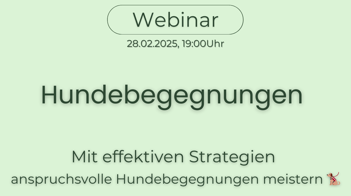 Webinar-Ankündigung zum Thema "Hunde-begegnungen" am 28.02.2023 um 19:00 Uhr.