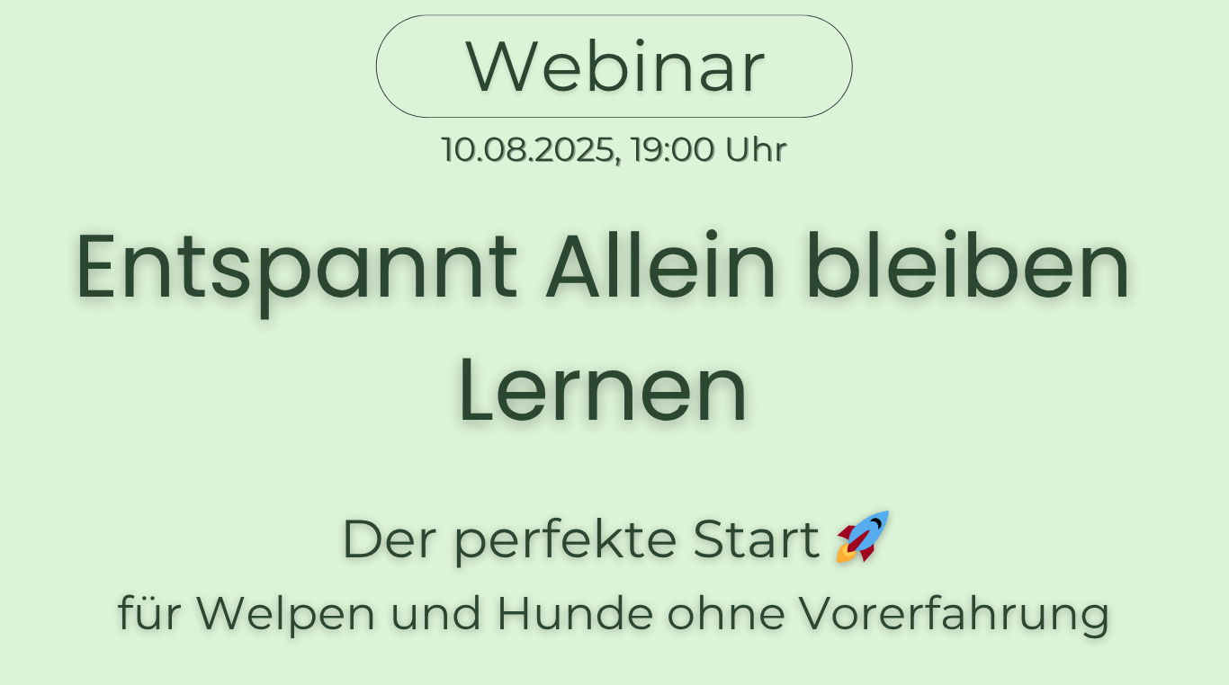 Webinar: Hundebegegnungen Webinar-Ankündigung zum Thema "Hunde-begegnungen" am 28.02.2023 um 19:00 Uhr.