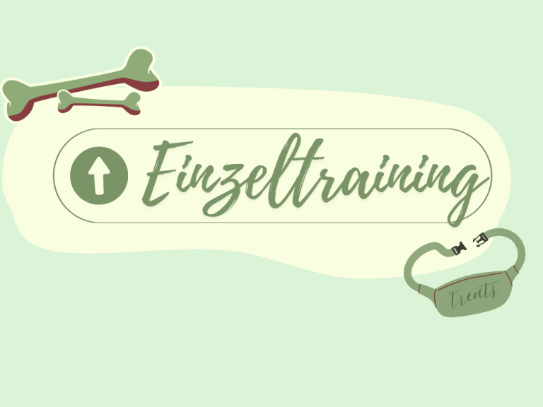 Symbol für Einzeltraining mit Knochen und Hundekorb auf mintgrünem Hintergrund.