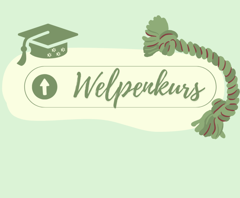 Grafik mit dem Text "Welpenkurs" und Symbolen für Bildung und Training.